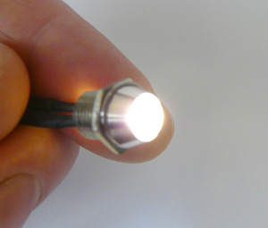 Warm White Mini LED Screw Lights
