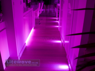 RGB LED Spots Purple