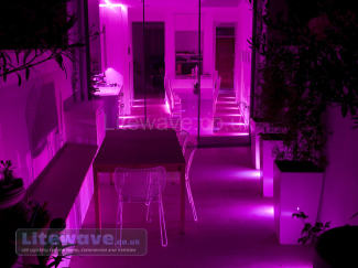 RGB LED Spotlights displaying Pink