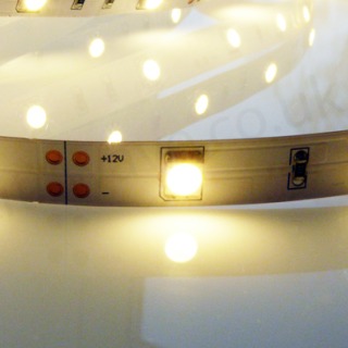 Single Colour 12vdc LED Strip - 5M Reel