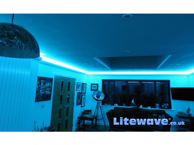 Professional Rgb Colour Changeable Litewave Led Strips With 60 Led