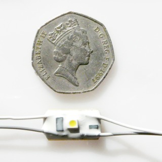 Pico LED Module (12vdc)