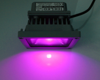 10w RGB Flood Light Displaying Purple