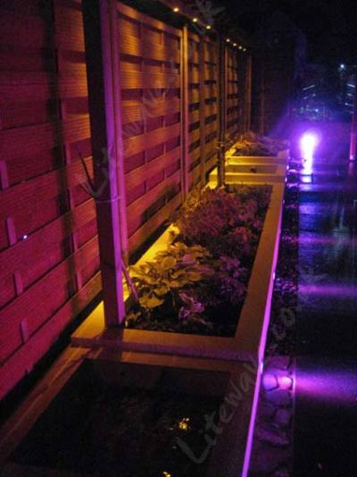 Garden LED light purple